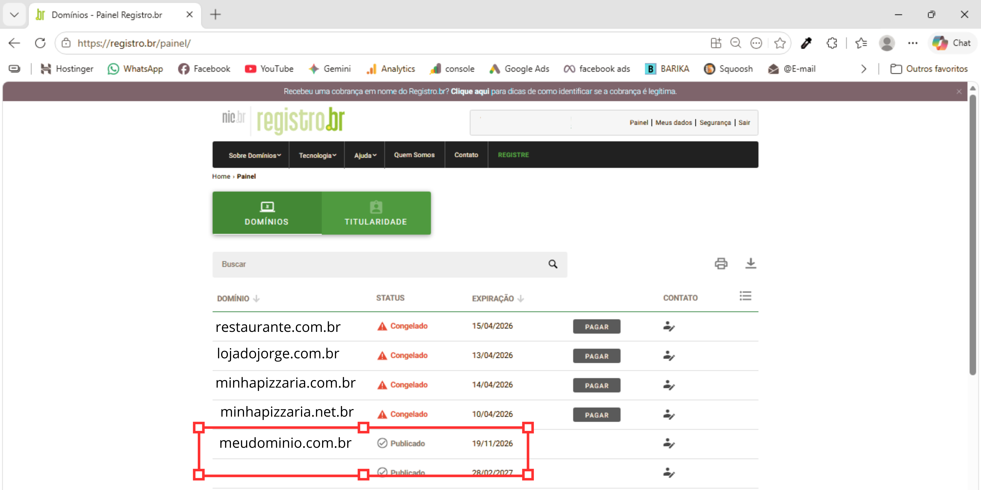 painel de domínio do provedor registro.br